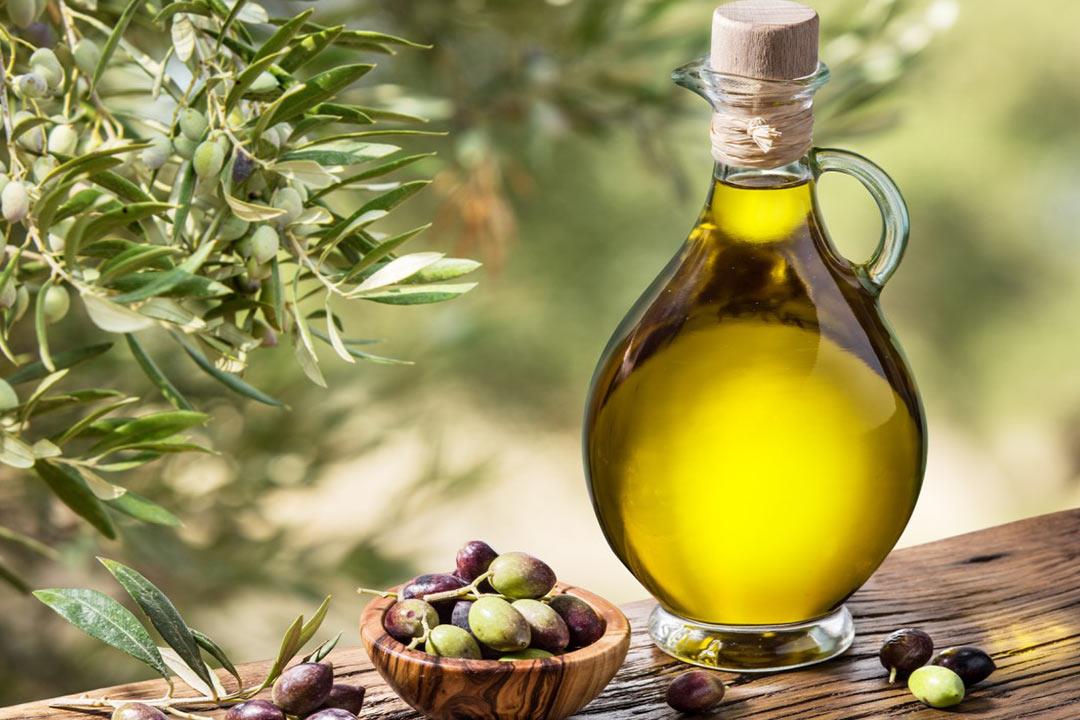منظمة فاو تجري دراسة تقييمية لتحسين جودة زيت الزيتون الأردني