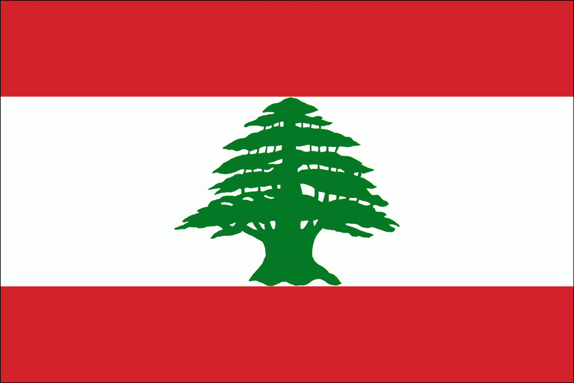 الحكومة اللبنانية تشدد الإجراءات الأمنية والقضائية لمنع انتشار كورونا