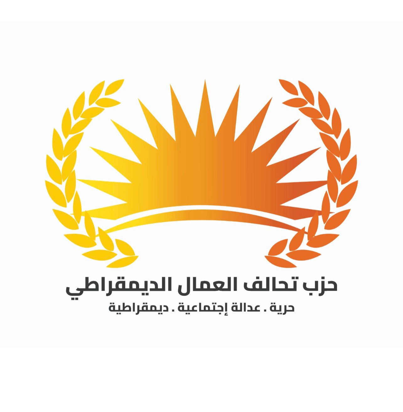 حزب النهضة والعمال الديمقراطي يثمن تنفيذ الجيش باشراف جلالة الملك انزالات جوية إغاثية على غزة