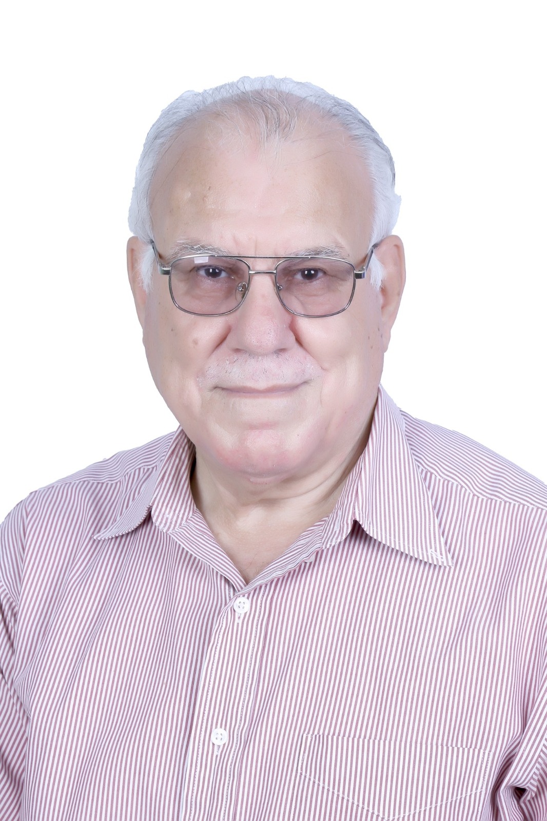 جمالية اللغة العربية